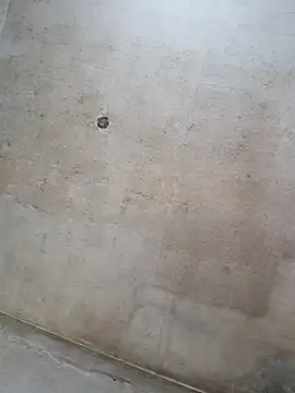 Snapshot of Sgaf39 chatting on 14, 9, 2025 Sgaf39 online show from 14, 9, 2025