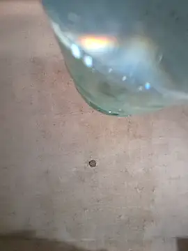 Snapshot of Sgaf39 chatting on 6, 10, 2025 Sgaf39 online show from 6, 10, 2025