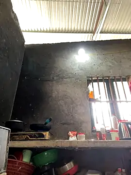 Sunny lotus online show from 16, 11, 2025