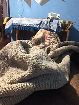 m11a2f3a4z5 online show from 22, 3, 2026