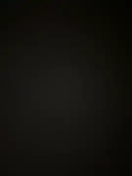 Snapshot of Handydila chatting on 2, 10, 2025 Handydila online show from 2, 10, 2025