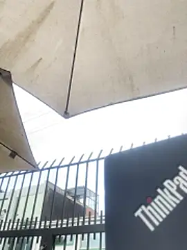 Sallem Pink online show from 6, 11, 2025