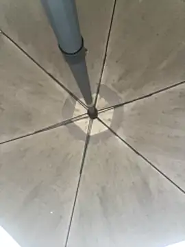 Sallem Pink online show from 6, 3, 2026