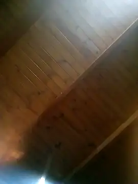 Snapshot of NOROM25 chatting on 22, 10, 2025 NOROM25 online show from 22, 10, 2025