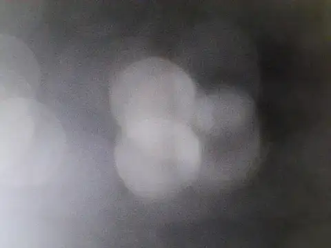 Snapshot of Asian_PrettyAle chatting on 21, 2, 2026 Asian PrettyAle online show from 21, 2, 2026