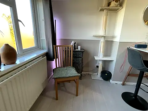 Snapshot of Dilfcam101 chatting on 29, 9, 2025 Dilfcam101 online show from 29, 9, 2025