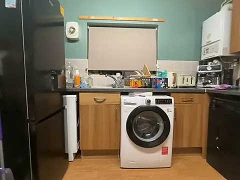 Snapshot of Dilfcam101 chatting on 16, 2, 2026 Dilfcam101 online show from 16, 2, 2026