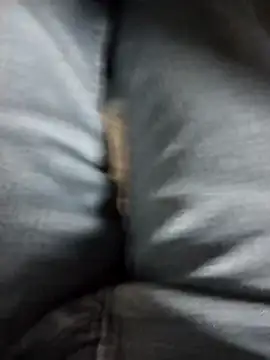 Snapshot of Ajayy01 chatting on 3, 3, 2026 Ajayy01 online show from 3, 3, 2026