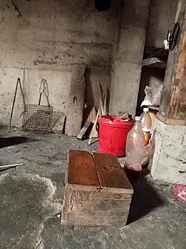 TinTin321 online show from 3, 3, 2026