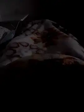 ratoncito 3 online show from 12, 1, 2026