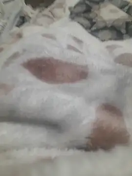 ratoncito 3 online show from 16, 1, 2026