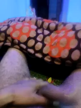 Snapshot of pppppp7811 chatting on 14, 2, 2026 pppppp7811 online show from 14, 2, 2026