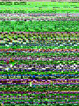 lynn9000 online show from 20, 11, 2025