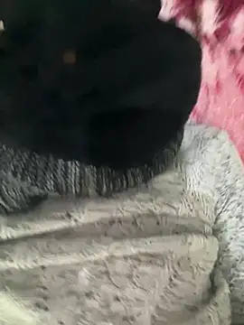 Yasar-Xxxl online show from 12, 2, 2026