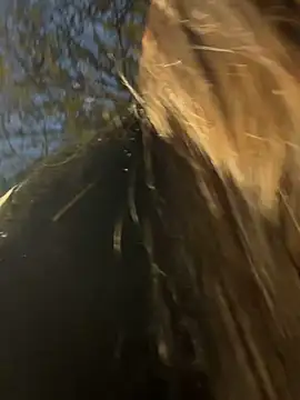 Snapshot of -juicy_ chatting on 17, 2, 2026 -juicy online show from 17, 2, 2026