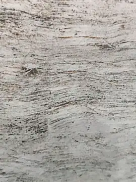 hot plak online show from 30, 11, 2025