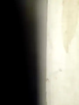 Snapshot of Sonalihot_ chatting on 1, 3, 2026 Sonalihot online show from 1, 3, 2026