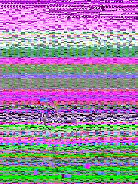 Snapshot of pnwzo chatting on 3, 10, 2025 pnwzo online show from 3, 10, 2025