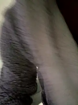 cameron334 online show from 1, 11, 2025