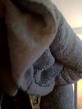 cameron334 online show from 12, 1, 2026