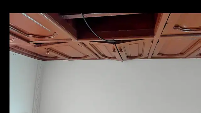 Snapshot of alice__brow chatting on 8, 10, 2025 alice brow online show from 8, 10, 2025