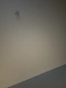 Snapshot of busty_p chatting on 11, 9, 2025 busty p online show from 11, 9, 2025