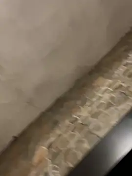 Snapshot of BrandonBlack chatting on 7, 2, 2026 BrandonBlack online show from 7, 2, 2026