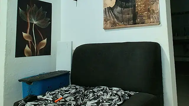 Patrick phoenix online show from 12, 1, 2026