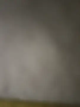 taraaek online show from 7, 3, 2026