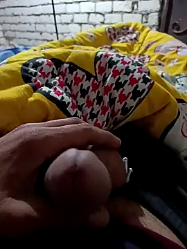 taraaek online show from 4, 4, 2026