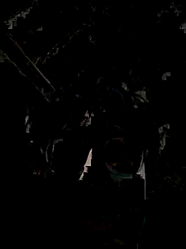 Kevintdx online show from 23, 9, 2025