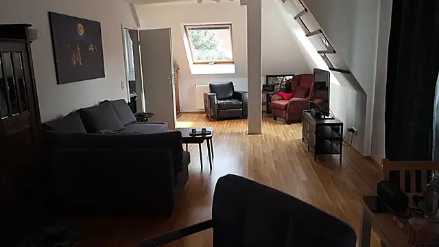 Snapshot of Tanywish chatting on 4, 11, 2025 Tanywish online show from 4, 11, 2025