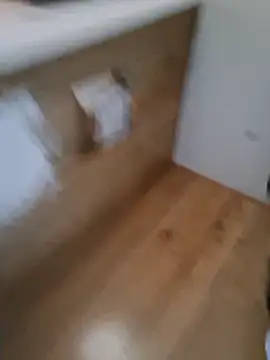 MassedParidae online show from 22, 3, 2026