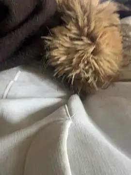 Snapshot of LesAmantsAE2 chatting on 15, 2, 2026 LesAmantsAE2 online show from 15, 2, 2026