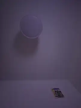 Snapshot of gigolobcn chatting on 22, 2, 2026 gigolobcn online show from 22, 2, 2026