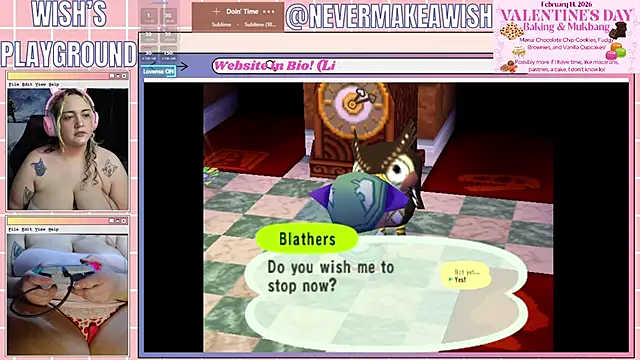 nevermakeawish online show from 31, 1, 2026