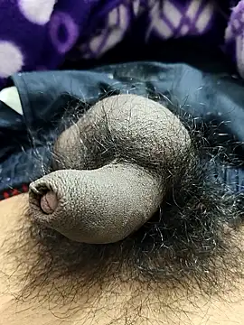 Snapshot of Bio-teacher chatting on 13, 1, 2026 Bio-teacher online show from 13, 1, 2026