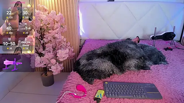 veronica hill  online show from 26, 6, 2026