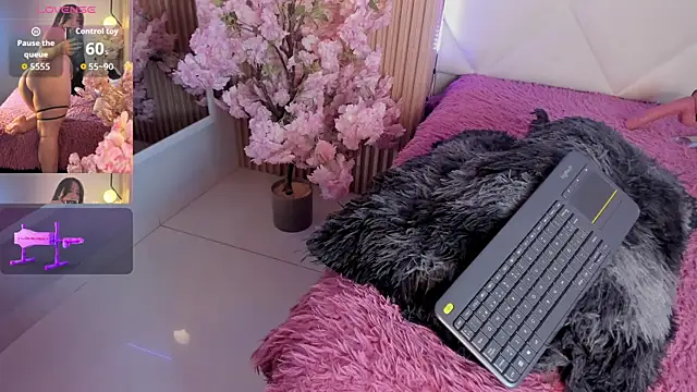 veronica hill  online show from 2, 7, 2026