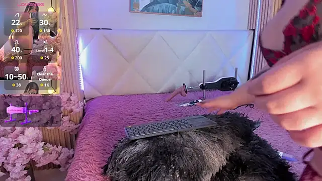 veronica hill  online show from 17, 7, 2026
