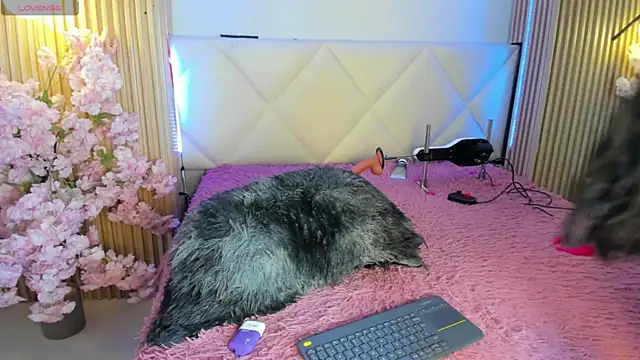 veronica hill  online show from 23, 7, 2026