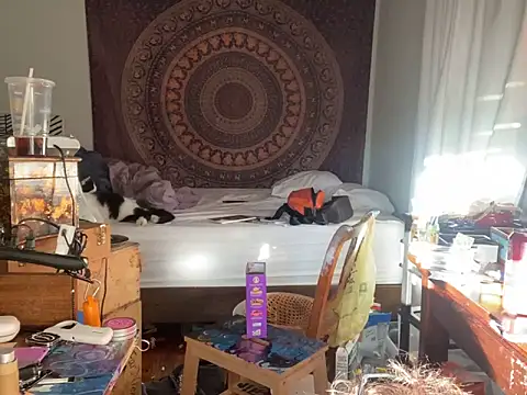 XanderOzzz online show from 6, 11, 2025