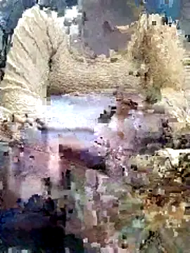 Gopika Dudi online show from 2, 3, 2026