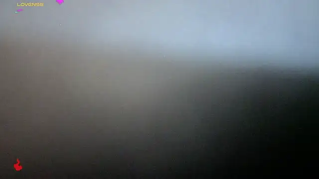 Snapshot of Alexander_ferre chatting on 25, 2, 2026 Alexander ferre online show from 25, 2, 2026