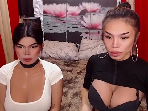 WILDROXIE online show from 15, 12, 2025