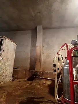 ezgi2545 online show from 22, 2, 2026