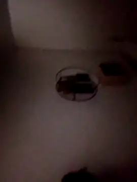 P E R V I T I N online show from 6, 4, 2026