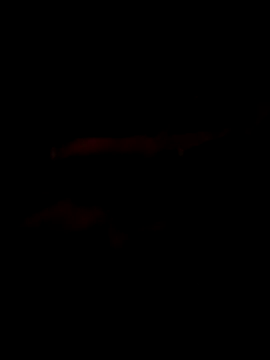 Marco0sss online show from 8, 2, 2026