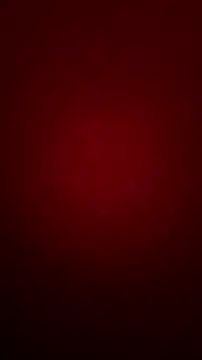 bibi perigoBr online show from 11, 9, 2025