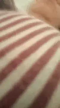 bibi perigoBr online show from 29, 9, 2025